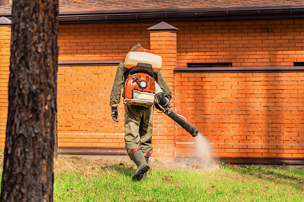 Trusted Rodent Control service in Idyllwild-Pine Cove, CA - Nex Pest Control